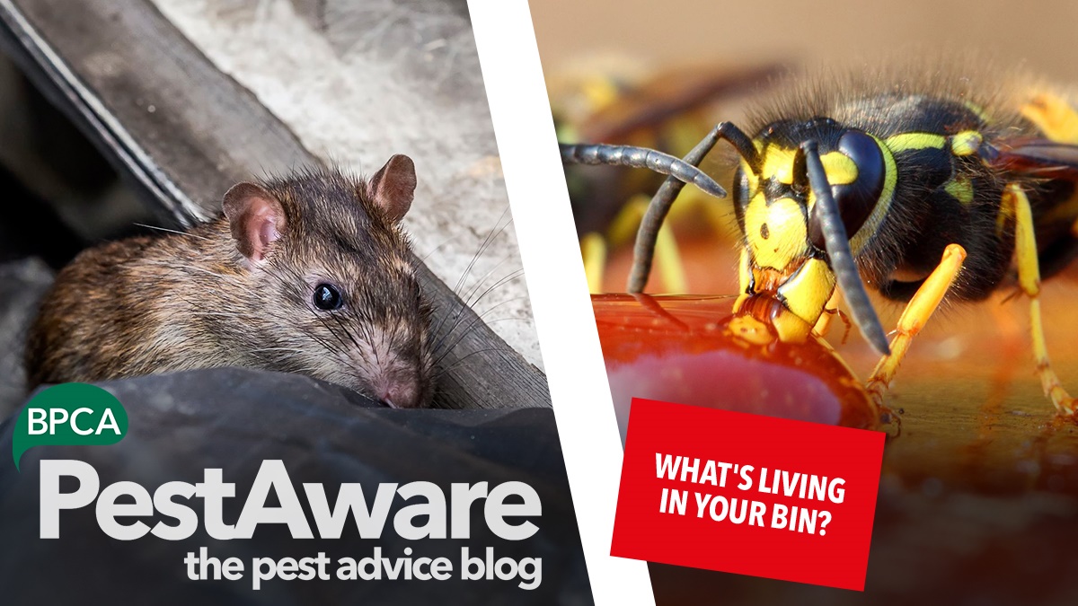 What's living in your bin What's living in your bin